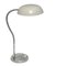 German Industrial Gooseneck Table Lamp, 1950s, Image 1