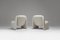 Alky Chairs by Giancarlo Piretti for Artifort, 1970s, Set of 2, Image 3