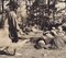 Hannah Seidel, Guatemala, Woods, Man, 1960s, Black and White Photography 2