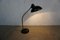 Lámpara de mesa modelo 6561 de cuello de ganso de Kaiser Idell, años 40, Imagen 6