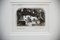 Graham Clarke, Borage & Hawkermoth, Etchings, Framed, Set of 2, Image 3