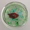 Murano Glass Redfish Paperweight attributed to Avem Furnace, 1950s 8