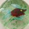 Murano Glass Redfish Paperweight attributed to Avem Furnace, 1950s 7