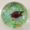 Murano Glass Redfish Paperweight attributed to Avem Furnace, 1950s 1