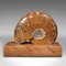 Vintage African Ammonite Opalized Fossil Display, Specimen, 1970s, Set of 2 6