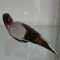 Uccello in vetro di Murano di Barbini, anni '70, Immagine 4