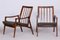 Mid-Century Armchairs in Stained Beech & Revived Polish, Czechia, 1960s, Set of 2 1