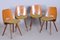 Mid-Century Walnut Chairs by Frantisek Jirak, Tatra Nabytok, Czechia, 1950s, Set of 4 3