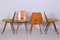 Mid-Century Walnut Chairs by Frantisek Jirak, Tatra Nabytok, Czechia, 1950s, Set of 4 5