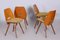 Mid-Century Walnut Chairs by Frantisek Jirak, Tatra Nabytok, Czechia, 1950s, Set of 4 4