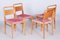 Mid-Century Ash Dining Chairs, Czechia, 1950s, Set of 4, Image 4