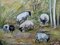 Grazing Sheep, 1950s, Oil on Canvas, Framed 6