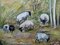 Ovejas pastando, años 50, óleo sobre lienzo, enmarcado, Imagen 6
