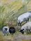 Grazing Sheep, 1950s, Oil on Canvas, Framed, Image 5