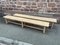 Rustic Benches in Natural Oak, 1950s, Set of 3 1