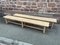 Rustic Benches in Natural Oak, 1950s, Set of 3, Image 1