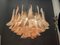 Large Pink Murano Glass Feather Chandelier by La Murrina, 1980s 8