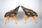 Mid-Century Shell Fiberglass Lounge Chairs attributed to Miroslav Navratil, 1960s, Set of 2, Image 3