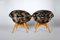 Mid-Century Shell Fiberglass Lounge Chairs attributed to Miroslav Navratil, 1960s, Set of 2, Image 4