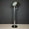 Metal Floor Lamp with Magnet by Goffredo Reggiani, Italy, 1960s 1