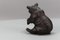 Antique Black Forest Carved Seated Bear Figure, 1890s 8