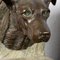 Fermalibri a forma di testa di cane in bronzo e marmo, Francia, anni '10, set di 2, Immagine 9