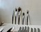 VintageStainless Cutlery Set by Arne Jacobsen for Georg Jensen, Set of 66 11