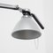 Fortebraccio D33 Desk Lamp from Luceplan, 2000s 3