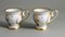Napoleon III Style Limoges Porcelain Cups with Plate, 1880, Set of 4 8