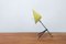 Mid-Century Dutch Minimalist Pinocchio Table or Wall Lamp by H. Busquet for Hala Zeist, 1950s 1