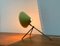 Mid-Century Dutch Minimalist Pinocchio Table or Wall Lamp by H. Busquet for Hala Zeist, 1950s, Image 3