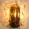 Clear and Brown Glass Wall Light from J.T. Kalmar, 1960s 11