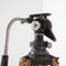 Vintage Wooden Fluid Head Model C Tripod, 1950s 4