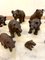 Small 19th Century Carved Oak Black Forest Bears, 1860s, Set of 15 13