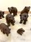 Small 19th Century Carved Oak Black Forest Bears, 1860s, Set of 15, Image 13