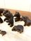 Small 19th Century Carved Oak Black Forest Bears, 1860s, Set of 15 12