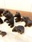 Small 19th Century Carved Oak Black Forest Bears, 1860s, Set of 15, Image 12