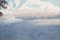 Artista sconosciuto, Paesaggi di montagna, Dipinti ad olio su cartoncino, anni '50, set di 2, Immagine 9