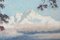 Artista sconosciuto, Paesaggi di montagna, Dipinti ad olio su cartoncino, anni '50, set di 2, Immagine 8