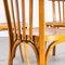 French Honey Colour Dining Chairs, 1950s, Set of 5 3