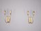 Double Brass Wall Lights, 1950s, Set of 2 3