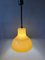 Large Space Age Pendant Light in Acrylic Glass, 1970s 3