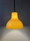 Large Space Age Pendant Light in Acrylic Glass, 1970s 4