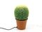 Lámpara de escritorio Cactus, años 80, Imagen 9