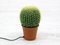 Cactus Desk Lamp, 1980s, Image 7