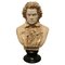 Busto de Ludwig Van Beethoven, años 50, Imagen 1