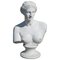 Buste Vintage en Plâtre de la Venus De Milo, 1920 1