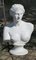 Busto vintage de escayola de Venus de Milo, 1920, Imagen 2