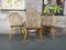Windsor Dining Chairs by Lucian Ercolani for Ercol, 1877, Set of 3 1