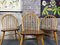 Windsor Dining Chairs by Lucian Ercolani for Ercol, 1877, Set of 3 2